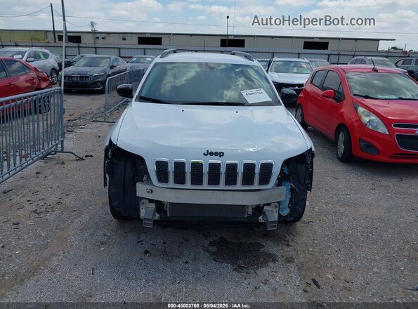1C4PJMMB3PD112793 2023 JEEP CHEROKEE White Instrument cluster view