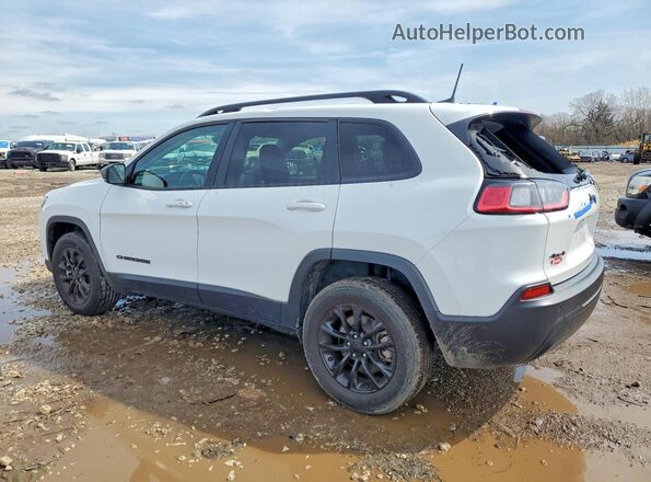 1C4PJMMB6PD112500 2023 JEEP CHEROKEE White Задня ліва чверть