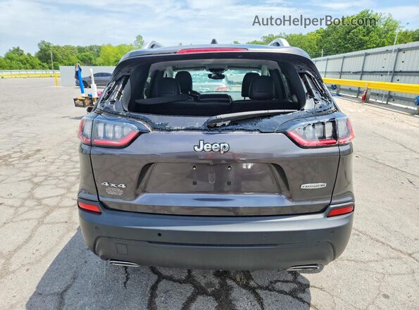 1C4PJMMX2MD230566 2021 JEEP CHEROKEE Gray Widok z tyłu