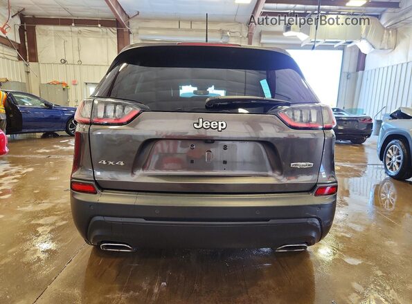 1C4PJMMX9MD193533 2021 JEEP CHEROKEE Серый Вид сзади