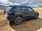 2019 Jeep Grand Cherokee Trailhawk Черный vin: 1C4RJFLG1KC737502