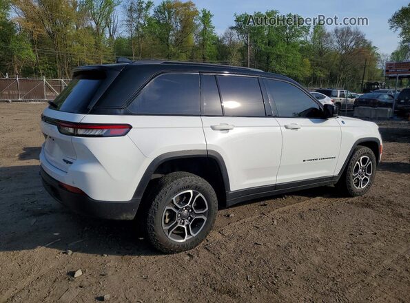 1C4RJYC61P8802149 2023 JEEP GRAND White Tył prawy