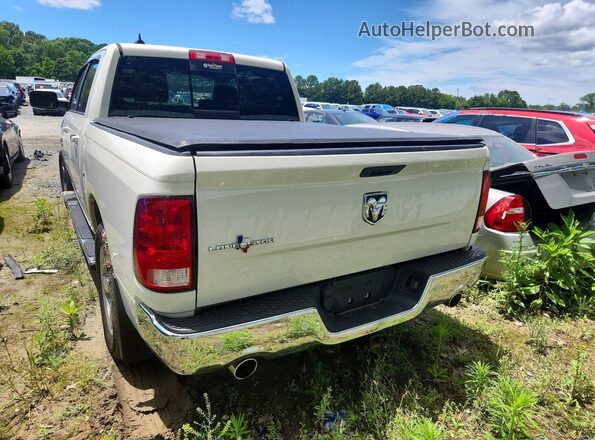 1C6RR6LT6GS242447 2016 RAM 1500 Белый Вид сзади