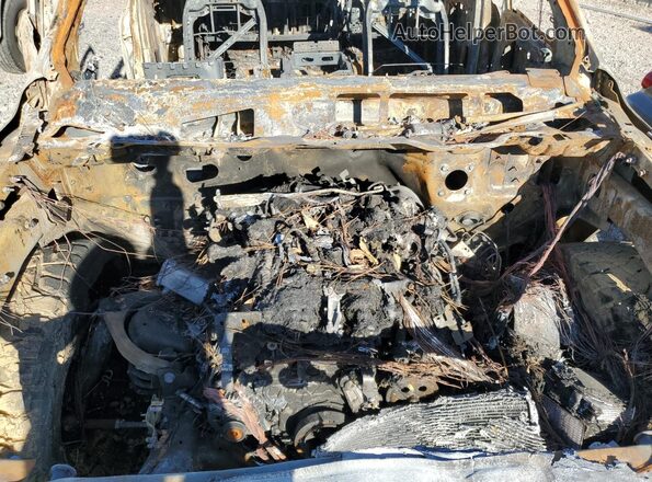 1C6SRFGP8SN556168 2025 RAM 1500 Белый Вид задней части салона