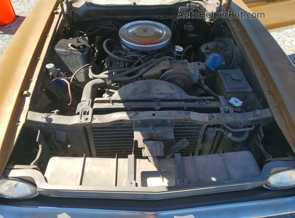 1F01F143439 1971 FORD MUSTANG Gold უკანა სალონის ხედი