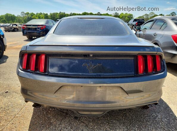 1FA6P8AM0G5251125 2016 FORD MUSTANG Серый Вид сзади