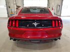 2016 Ford Mustang V6 Coupe Red vin: 1FA6P8AM1G5273909 2016 Ford Mustang V6 Coupe Red vin: 1FA6P8AM1G5273909