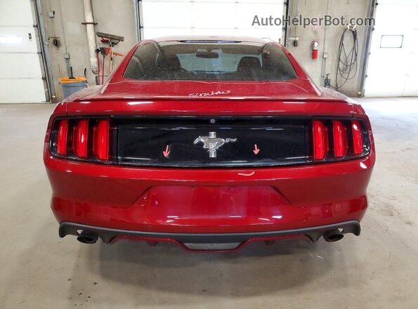 1FA6P8AM1G5273909 2016 FORD MUSTANG Red Вид ззаду