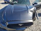 2017 Ford Mustang Charcoal vin: 1FA6P8AM2H5226857 2017 Ford Mustang Charcoal vin: 1FA6P8AM2H5226857