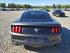 2017 Ford Mustang Charcoal vin: 1FA6P8AM2H5226857 2017 Ford Mustang Charcoal vin: 1FA6P8AM2H5226857