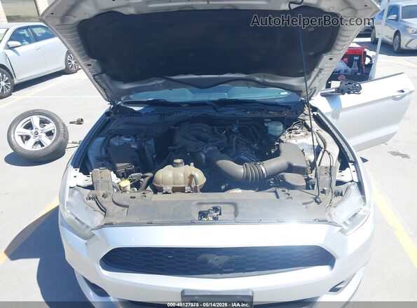 1FA6P8AM4G5279767 2016 FORD MUSTANG Серый Вид сзади
