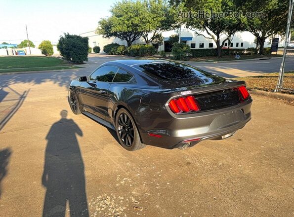 1FA6P8AM4H5340049 2017 FORD MUSTANG Gray Trasero derecho