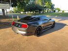 2017 Ford Mustang Gray vin: 1FA6P8AM4H5340049