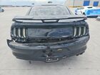 2017 Ford Mustang Black vin: 1FA6P8AM8H5259507