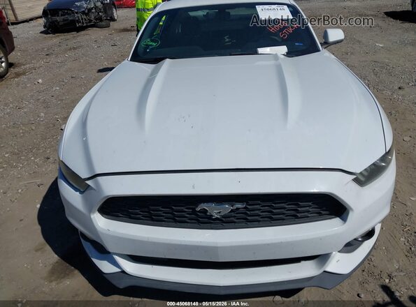 1FA6P8AM9G5326095 2016 FORD MUSTANG White Widok z tyłu