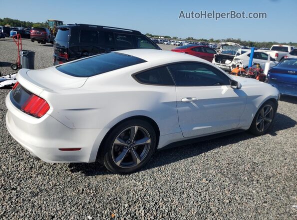 1FA6P8AMXG5265226 2016 FORD MUSTANG Белый Задняя правая четверть