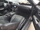 2020 Ford Mustang Gt Black vin: 1FA6P8CF2L5127172 2020 Ford Mustang Gt Black vin: 1FA6P8CF2L5127172