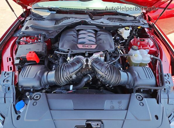 1FA6P8CF2R5428095 2024 FORD MUSTANG Красный Вид задней части салона