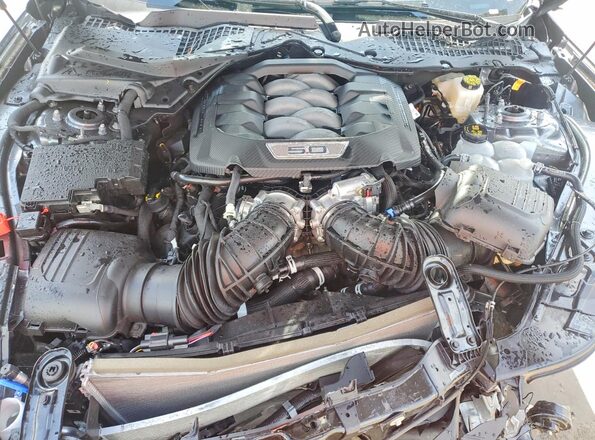 1FA6P8CF3T5406680 2026 FORD MUSTANG Серый Вид задней части салона