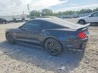 2019 Ford Mustang Gt Черный vin: 1FA6P8CF4K5204073