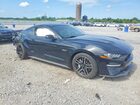 2019 Ford Mustang Gt Черный vin: 1FA6P8CF4K5204073