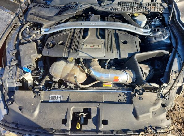 1FA6P8CF4L5142062 2020 FORD MUSTANG Угольный Вид задней части салона