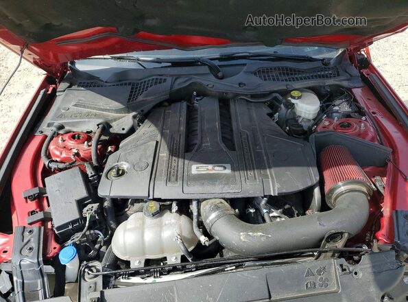 1FA6P8CF4P5302060 2023 FORD MUSTANG Красный Вид задней части салона