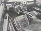 2017 Ford Mustang Gt Black vin: 1FA6P8CF5H5258085