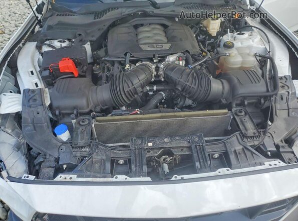 1FA6P8CF5R5424641 2024 FORD MUSTANG White Widok wnętrza z tyłu