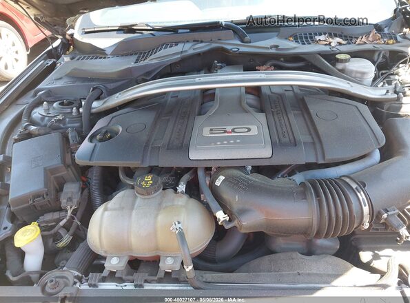 1FA6P8CF6K5111510 2019 FORD MUSTANG Серый Вид сзади
