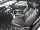2019 Ford Mustang Gt Green vin: 1FA6P8CF8K5191585