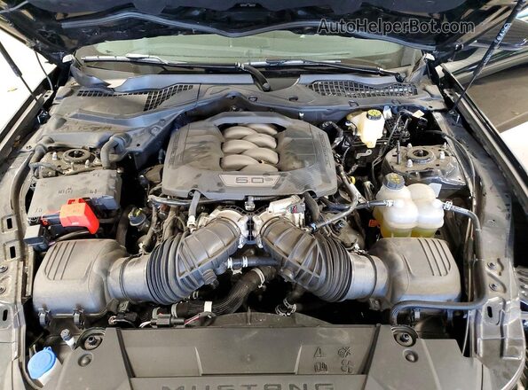 1FA6P8CF8R5400799 2024 FORD MUSTANG Черный Вид задней части салона