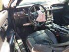 2019 Ford Mustang Gt Black vin: 1FA6P8CF9K5166226
