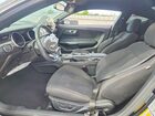 2020 Ford Mustang Gt Black vin: 1FA6P8CF9L5163375