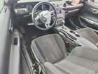 2020 Ford Mustang Gt Black vin: 1FA6P8CF9L5163375