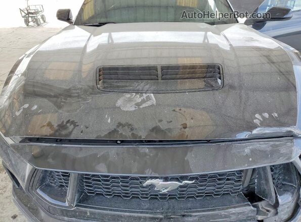 1FA6P8CFXR5409178 2024 FORD MUSTANG Gray Սալոնի հետևի տեսք