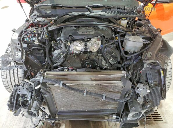 1FA6P8R07R5501092 2024 FORD MUSTANG Orange Widok wnętrza z tyłu