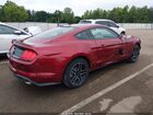 2019 Ford Mustang Ecoboost Бордовый vin: 1FA6P8TH1K5177948