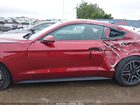 2019 Ford Mustang Ecoboost Бордовый vin: 1FA6P8TH1K5177948