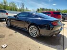 2025 Ford Mustang Black vin: 1FA6P8TH1S5103798