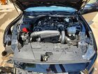 2025 Ford Mustang Black vin: 1FA6P8TH1S5103798