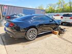 2025 Ford Mustang Black vin: 1FA6P8TH1S5103798