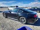 2017 Ford Mustang Черный vin: 1FA6P8TH2H5344486
