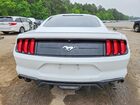 2020 Ford Mustang White vin: 1FA6P8TH3L5134892