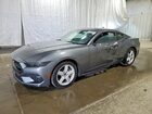 2026 Ford Mustang Серый vin: 1FA6P8TH3T5109359