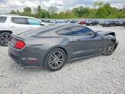 2017 Ford Mustang Серый vin: 1FA6P8TH4H5295243