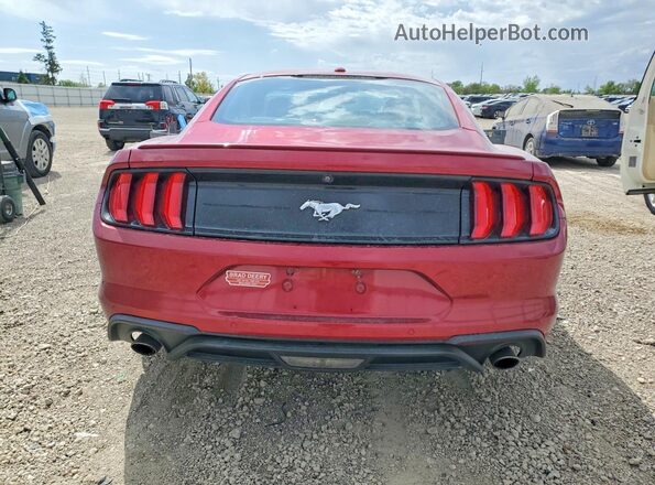 1FA6P8TH4J5181216 2018 FORD MUSTANG Красный Вид сзади