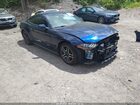 2019 Ford Mustang Ecoboost Blue vin: 1FA6P8TH4K5133331