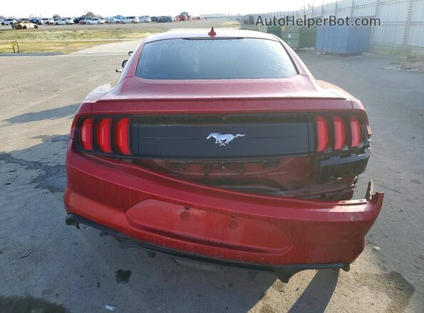 1FA6P8TH4M5128441 2021 FORD MUSTANG Бордовый Вид сзади