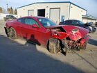 2021 Ford Mustang Бордовый vin: 1FA6P8TH4M5128441